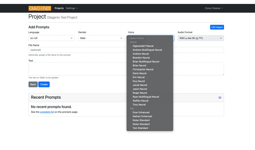 SimpleSpeak prompt editor