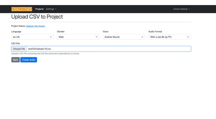 SimpleSpeak file import screen